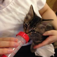 20140906222928_IMG_2061