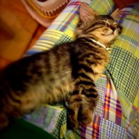 20140913175659_IMG_0494