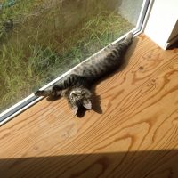 20140920104651_IMG_0515