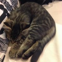 20140921183518_IMG_0518