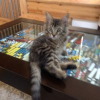 20140928081623_IMG_0521