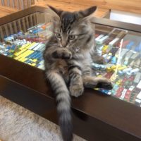 20140928081633_IMG_0522