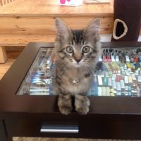 20140928081654_IMG_0523