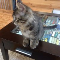 20140928081705_IMG_0525