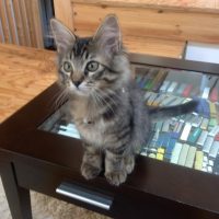 20140928081708_IMG_0526