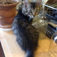 20140928082049_IMG_0527