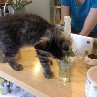 20140928082123_IMG_0530