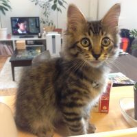 20140928082214_IMG_0534