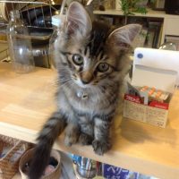 20140928082557_IMG_0535