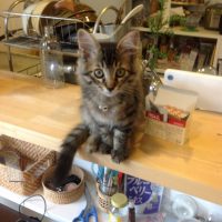 20140928082605_IMG_0537