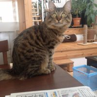 20150307092226_IMG_0739