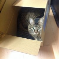 20150829100232_IMG_0854