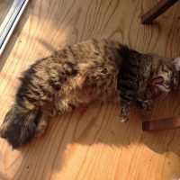 20151017144923_IMG_0891