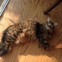 20151017144931_IMG_0894