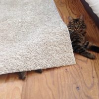 20151205112118_IMG_0926