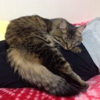 20160101220857_IMG_0928