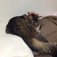 20160311235042_IMG_2076