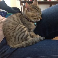 20160618171700_IMG_0956