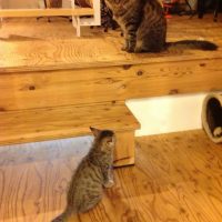 20160625200133_IMG_0958