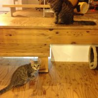 20160625200147_IMG_0959