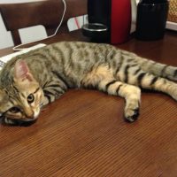 20160808191640_IMG_2096