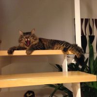 20160808191745_IMG_2100