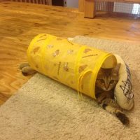 20161001220432_IMG_0983