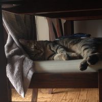 20161023125501_IMG_2103