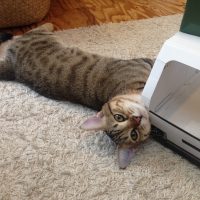 20161105083308_IMG_2113