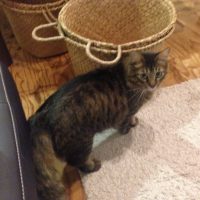 20161105212358_IMG_2117