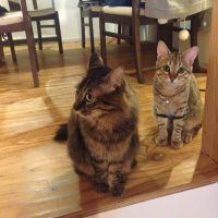 20161105212716_IMG_2131