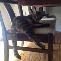 20161106112543_IMG_2132