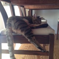 20161106112557_IMG_2133