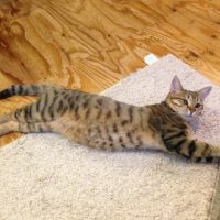 20161106161945_IMG_2139