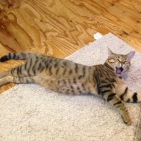 20161106161946_IMG_2140