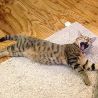 20161106161947_IMG_2141