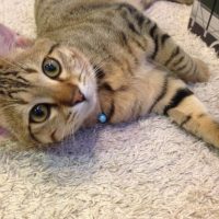 20161106162141_IMG_2142