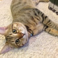 20161106162152_IMG_2143