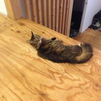 20161106204057_IMG_2151