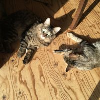 20161123113959_IMG_1008