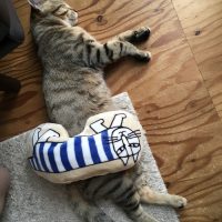 20161126144857_IMG_1031