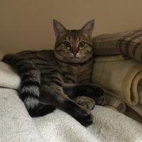 20161203115828_IMG_1047