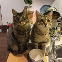 20161205133526_IMG_1056