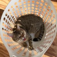 20161205133607_IMG_1057