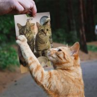 20161207134909_IMG_1058