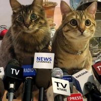 20161207140112_IMG_1064