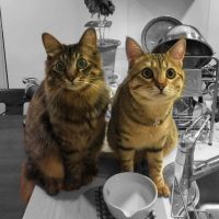 20161207153353_IMG_1065