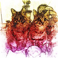 20161207153637_IMG_1066