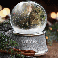 20161222154610_IMG_1114