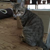 20161225155622_IMG_1122